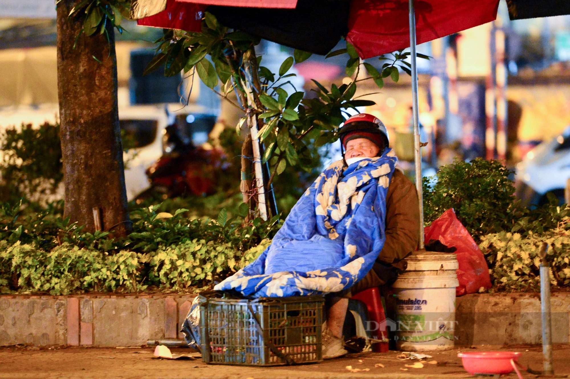 Ảnh ấn tượng tuần: Người vô gia cư co ro góc phố Hà Nội và bông hoa hướng dương bờ Đông Sài Gòn - Ảnh 1.