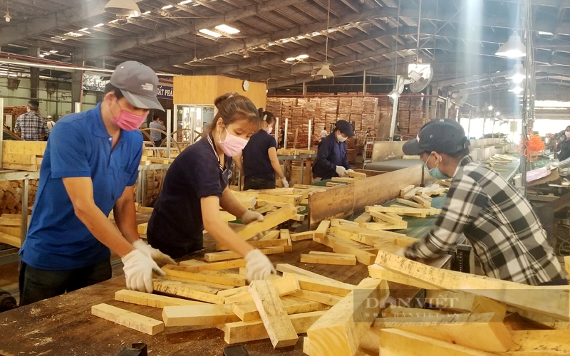 Công nhân làm việc tại một nhà máy chế biến gỗ ở huyện Dầu Tiếng (Bình Dương . Ảnh: Trần Khánh
