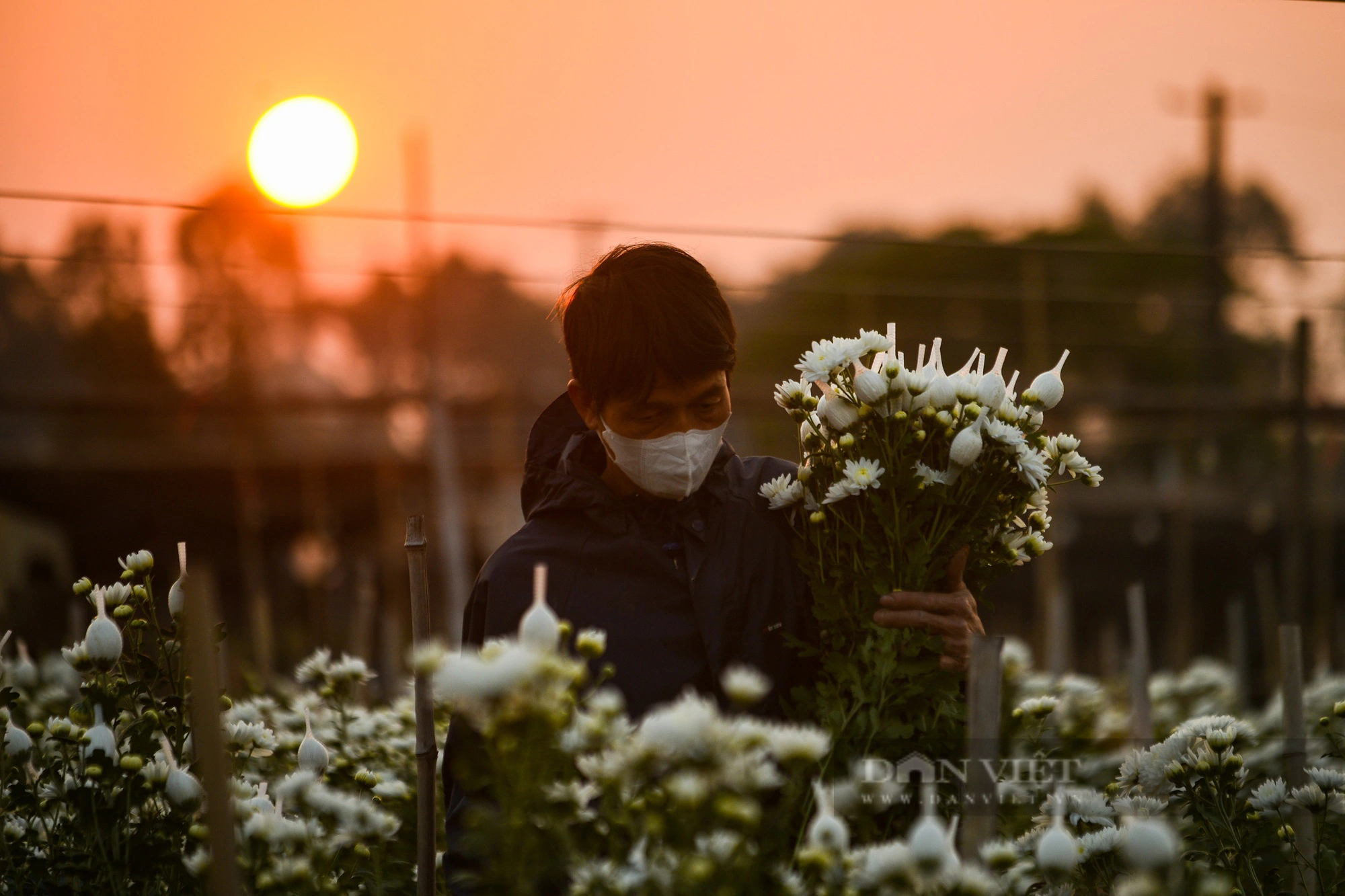 Người trồng hoa ở Hà Nội chong đèn xuyên đêm giữa tiết trời mưa rét lạnh giá- Ảnh 4.