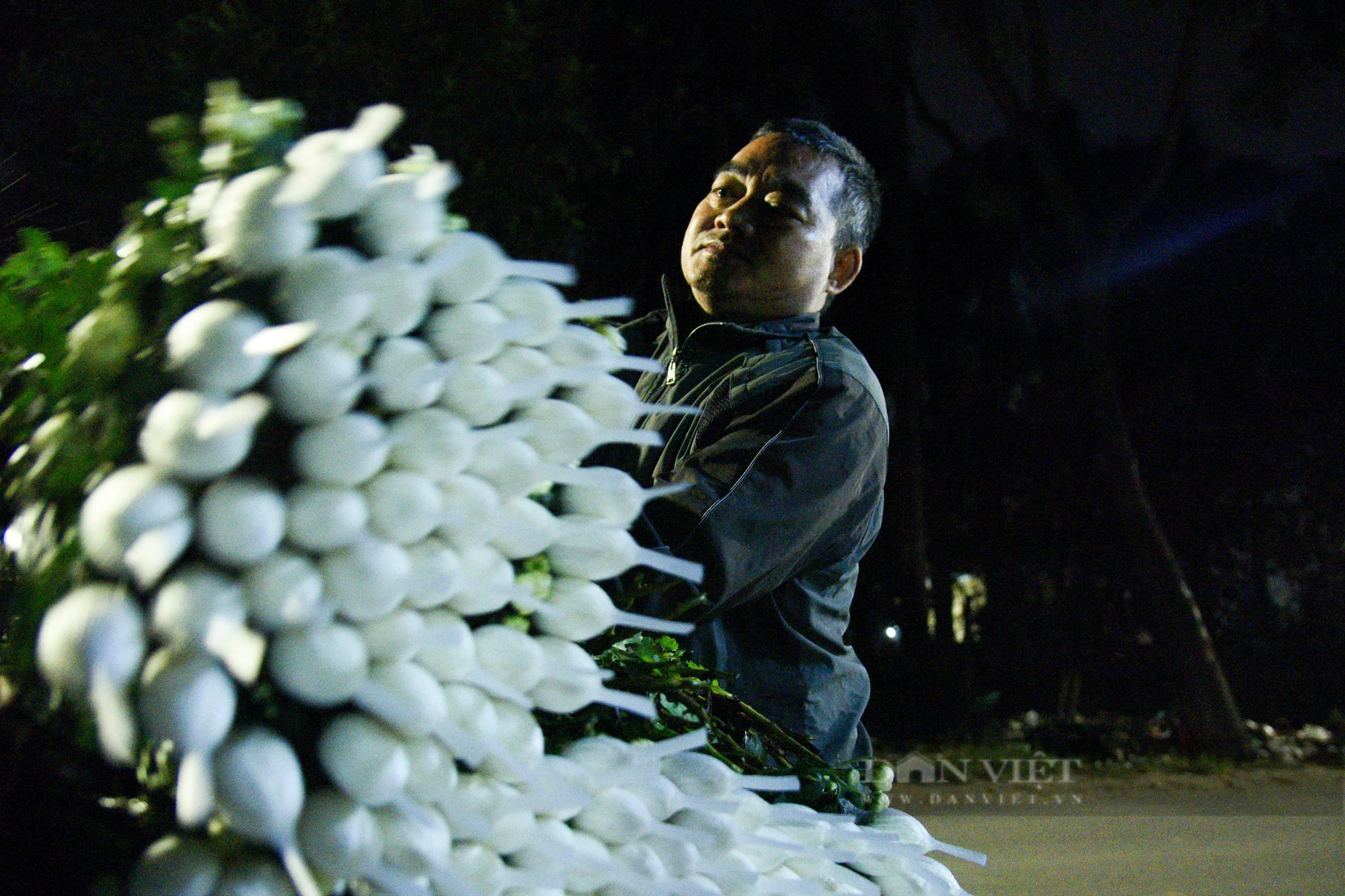 Người trồng hoa ở Hà Nội chong đèn xuyên đêm giữa tiết trời mưa rét lạnh giá- Ảnh 11.