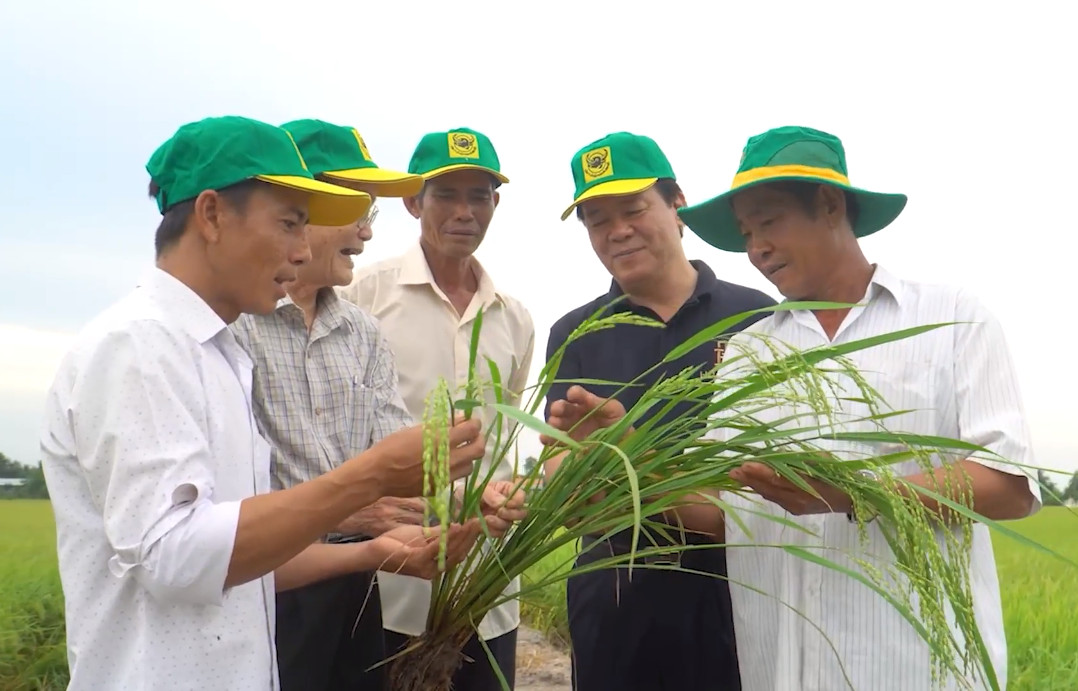 Nông dân, đại lý nói gì về phân bón Bình Điền sau 50 năm xây dựng, phát triển? - Ảnh 4.