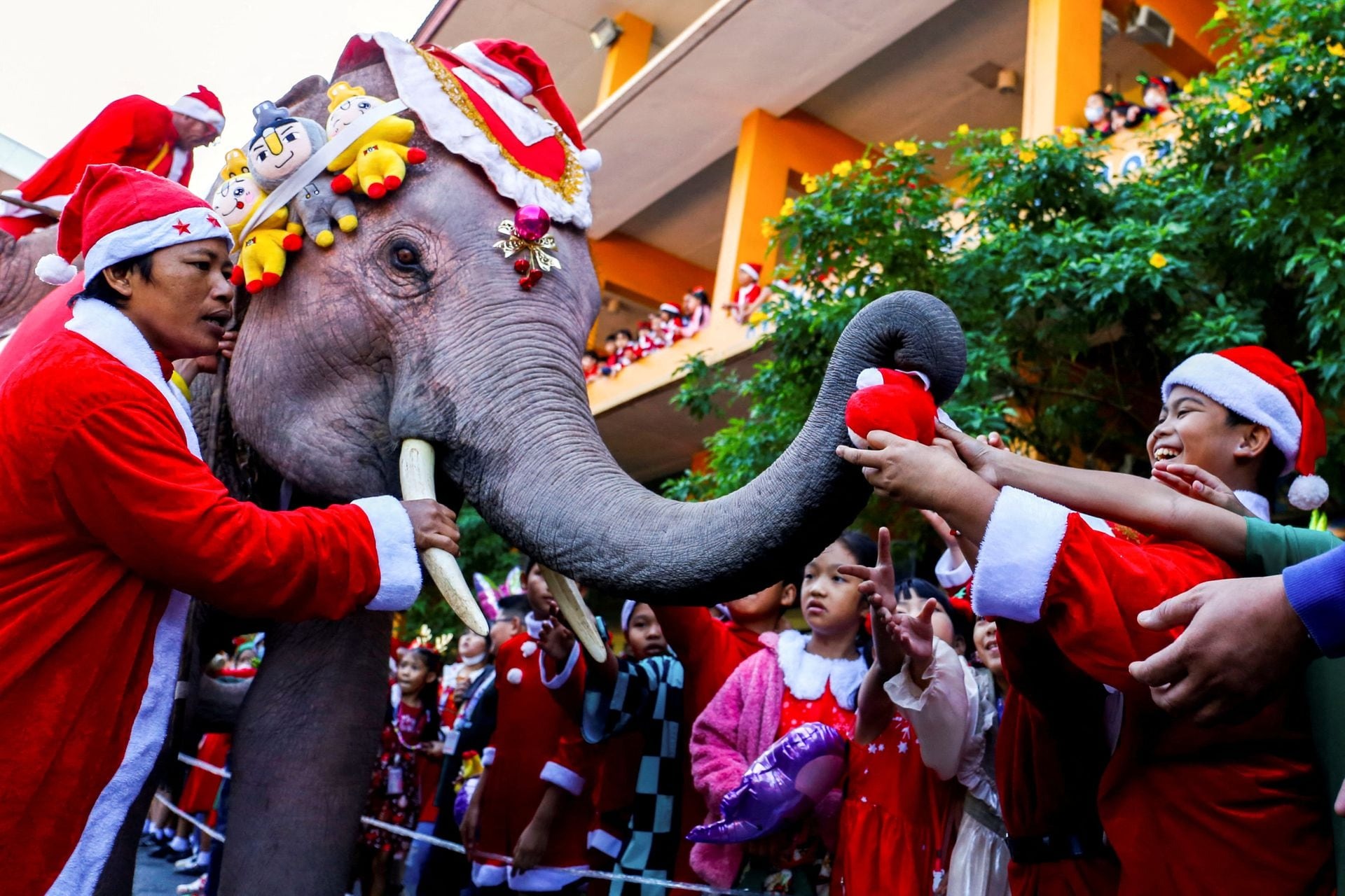 Mùa Giáng sinh năm nay, các ông già Noel trên khắp thế giới đang làm gì? - Ảnh 9.