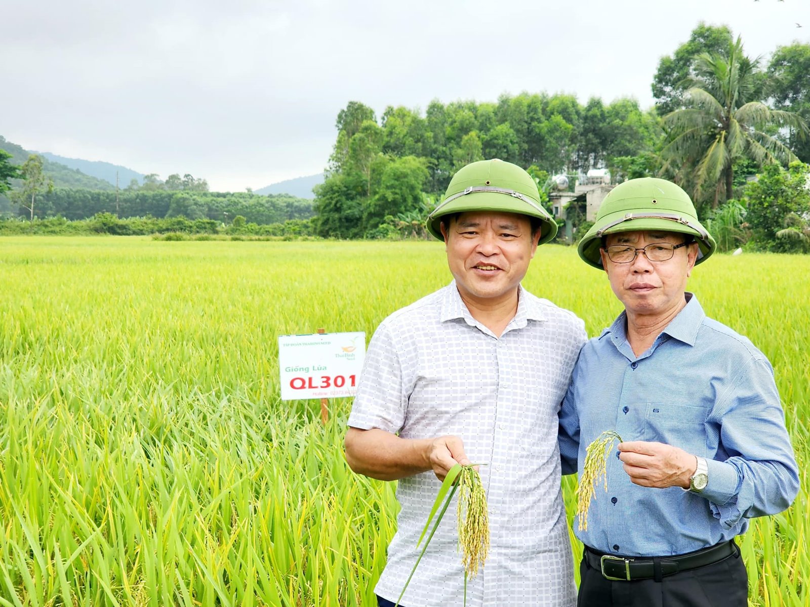 Chủ tịch HĐQT ThaiBinh Seed Trần Mạnh Báo được trao bằng Tiến sĩ danh dự của đại học Mỹ - Ảnh 3.