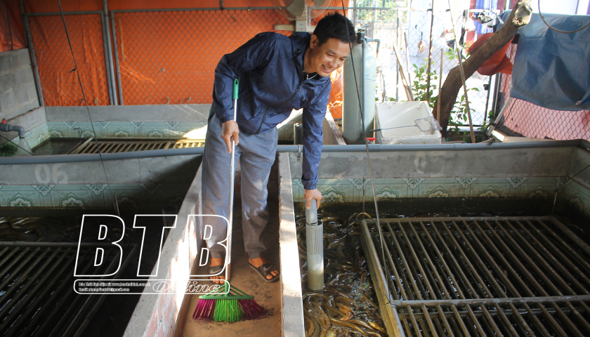 Xây bể nuôi lươn ngay giữa sân vườn, hai anh nông dân Thái Bình thu 200 triệu đồng - Ảnh 1.