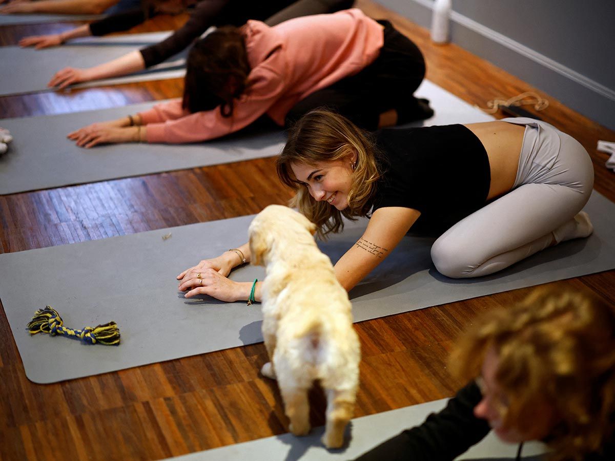 Người dân Paris tập yoga cùng với cún con - Ảnh 1.