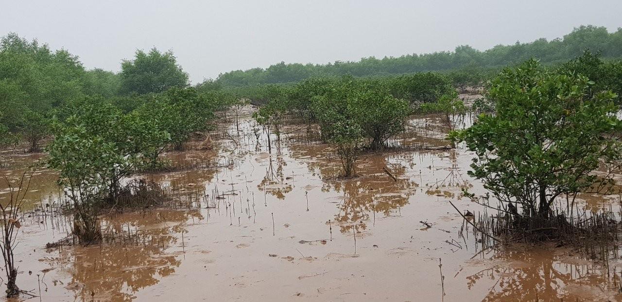 Phát triển kinh tế biển ở Thái Bình: Từ ước vọng Tiền Châu đến tư duy lãnh đạo chiến lược - Ảnh 2.