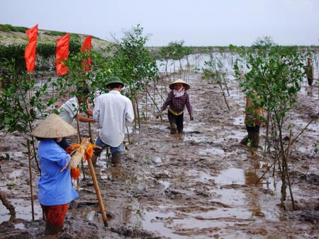 Phát triển kinh tế biển ở Thái Bình: Bước chuyển nhận thức thế mạnh kinh tế biển - Ảnh 3.