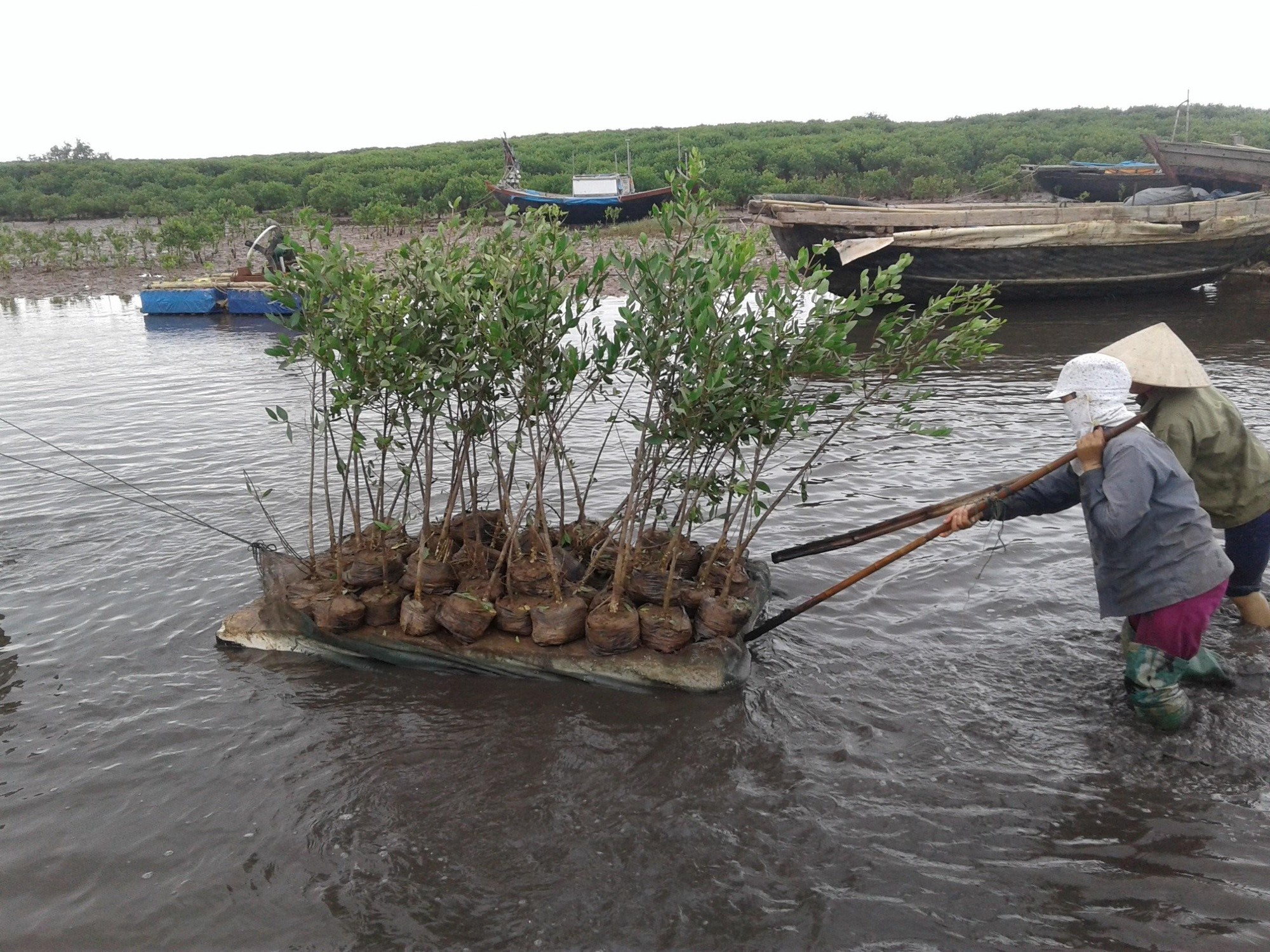 Phát triển kinh tế biển ở Thái Bình: Vận hội mới tạo những bứt phá thành công - Ảnh 1.