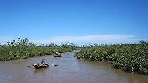 Phát triển kinh tế biển ở Thái Bình: Vận hội mới tạo những bứt phá thành công - Ảnh 3.