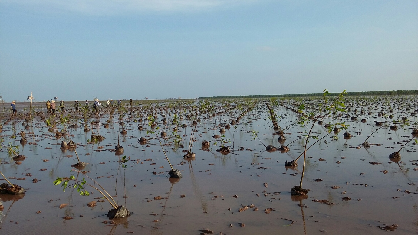 Phát triển kinh tế biển ở Thái Bình: Đột phá tư duy và những xung lực mới - Ảnh 1.