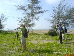 Phát triển kinh tế biển ở Thái Bình: Khởi sắc dấu ấn phát triển kinh tế miền biển - Ảnh 1.