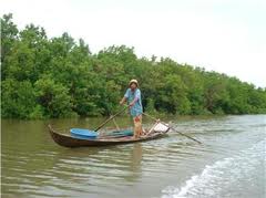 Phát triển kinh tế biển ở Thái Bình: Khởi sắc dấu ấn phát triển kinh tế miền biển - Ảnh 2.