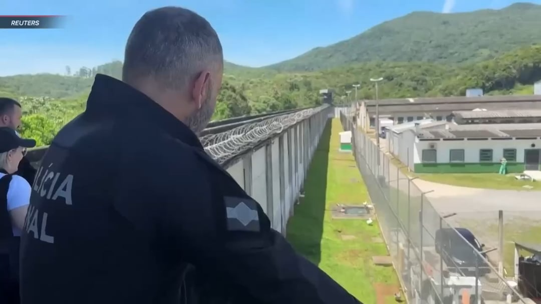 Độc dị những chú ngỗng được dùng để canh gác nhà tù ở Brazil - Ảnh 2.