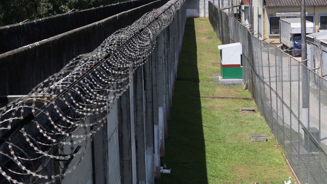 Độc dị những chú ngỗng được dùng để canh gác nhà tù ở Brazil - Ảnh 4.