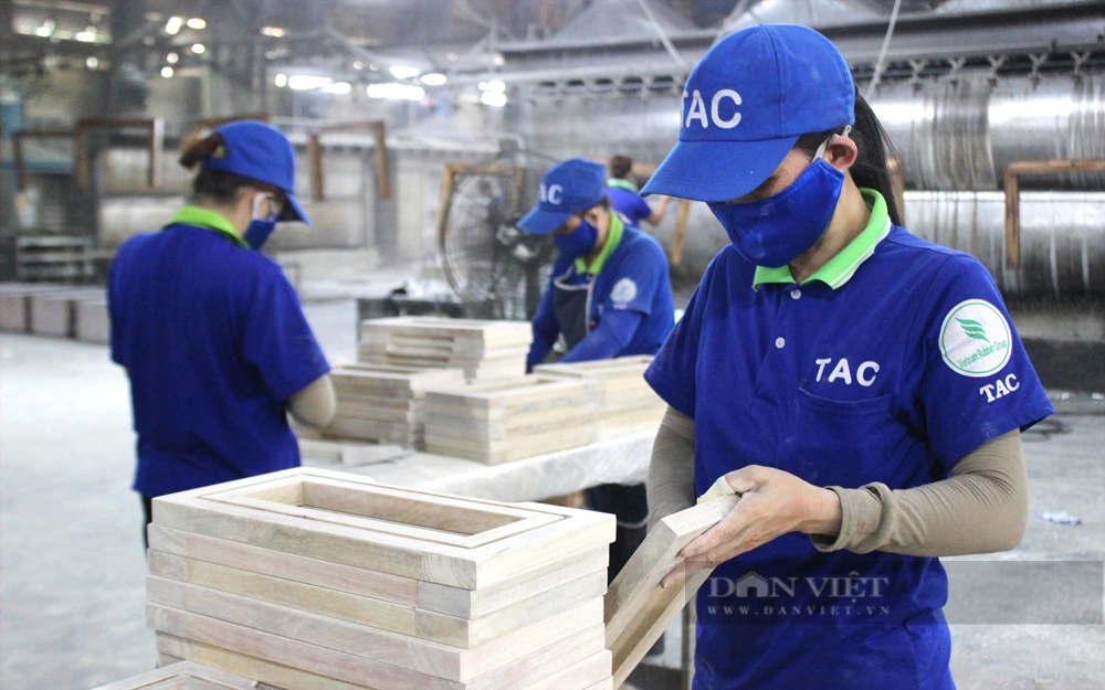 Công nhân chế biến gỗ xuất khẩu ở Công ty CP Chế biến Gỗ Thuận An. Ảnh: Nguyên Vỹ