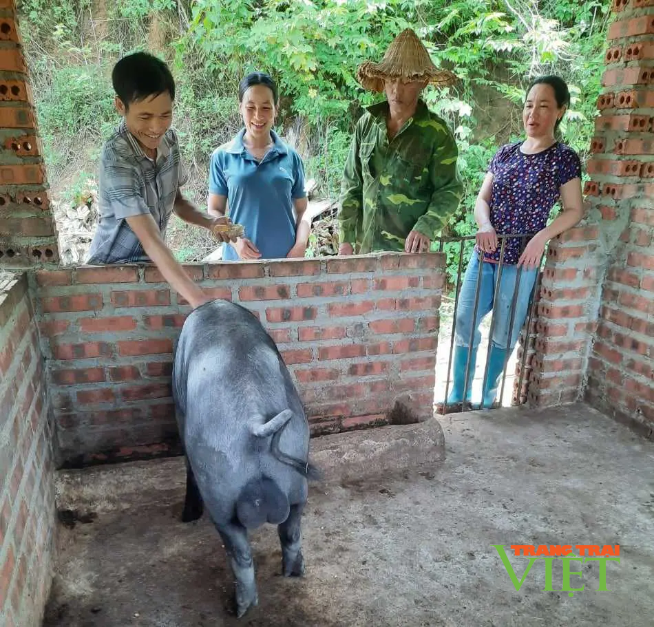 Nông dân Điện Biên Đông thoát nghèo từ những chương trình hỗ trợ của nhà nước - Ảnh 3.