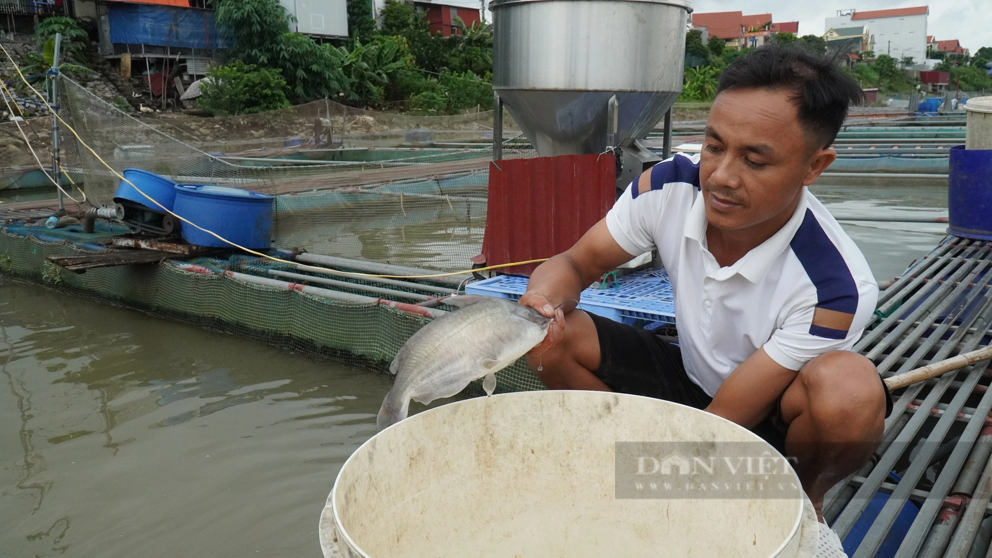 Nuôi cá lồng trên sông cho thu nhập cao, Bắc Ninh hướng vào nuôi cá đặc sản - Ảnh 2.