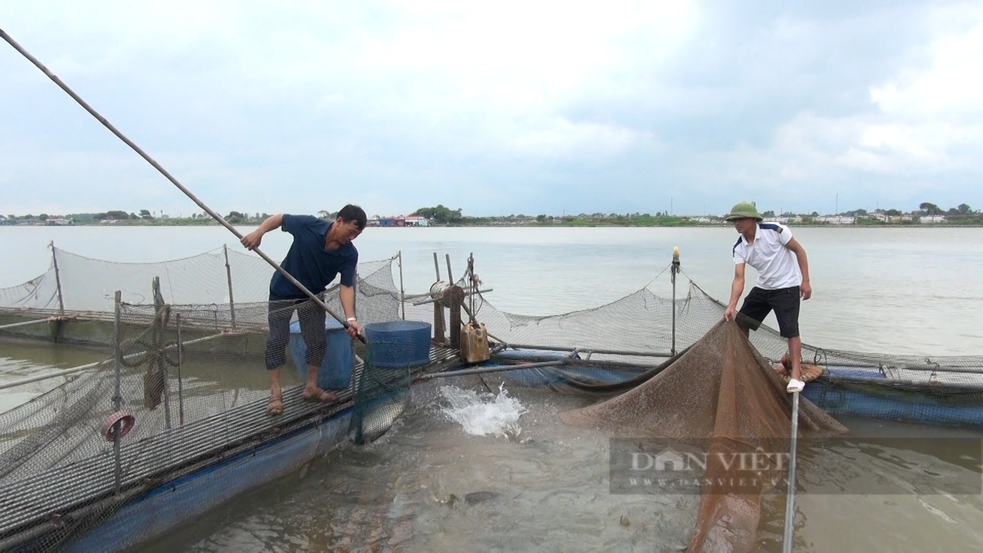 Nuôi cá lồng trên sông cho thu nhập cao, Bắc Ninh hướng vào nuôi cá đặc sản - Ảnh 4.