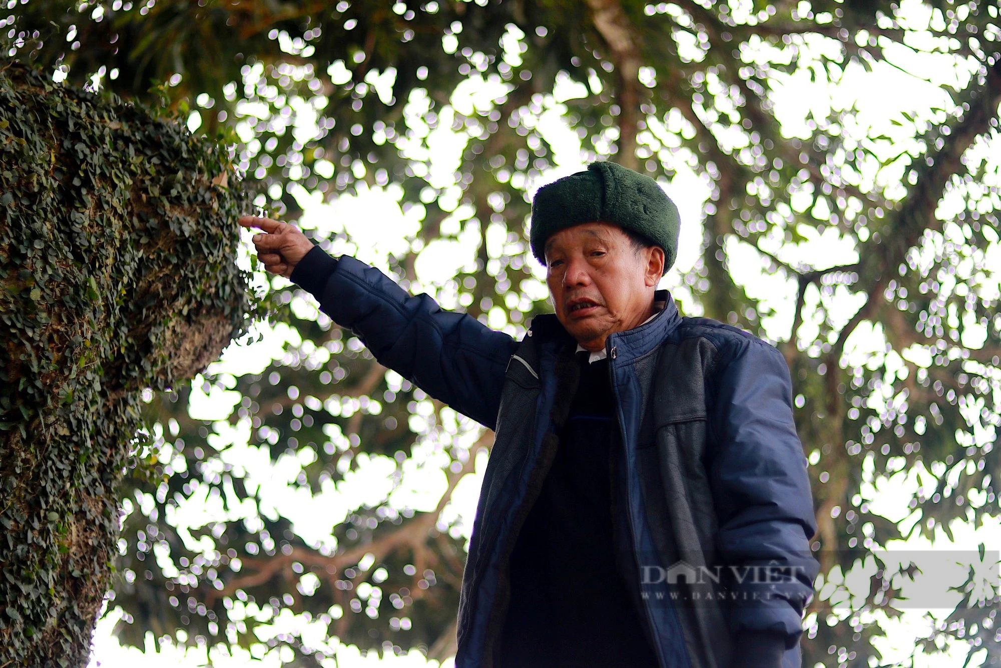 Cây trôi hơn 400 tuổi ở Hà Tĩnh được cả làng xem như báu vật cùng nhau bảo vệ - Ảnh 8.