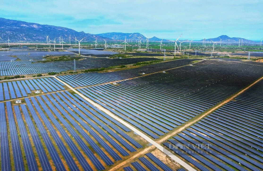 Chuyển công an điều tra sai phạm tại 4 dự án điện mặt trời chồng lấn hệ thống thủy lợi Tân Mỹ ở Ninh Thuận - Ảnh 4.