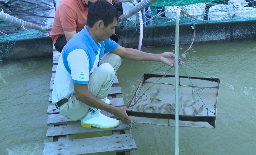Thái Bình: Tiếp tục tăng trưởng toàn diện lĩnh vực thủy sản - Ảnh 3.