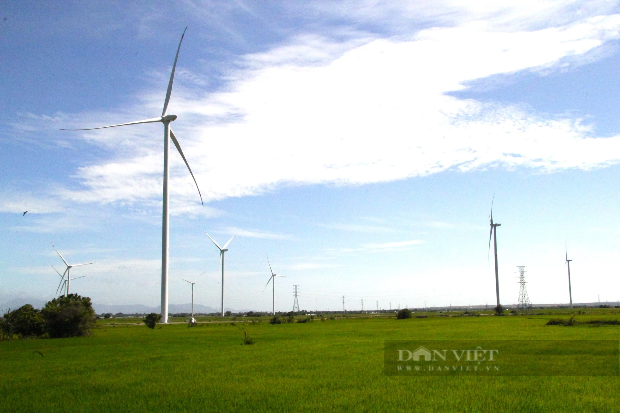 Nhiều sai phạm cho thuê đất tại dự án nhà máy điện gió Phước Hữu – Duyên Hải 1 ở tỉnh Ninh Thuận - Ảnh 1.