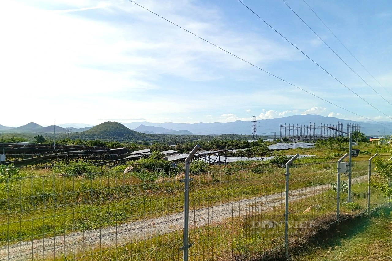 Nhiều sai phạm cho thuê đất tại dự án nhà máy điện gió Phước Hữu – Duyên Hải 1 ở tỉnh Ninh Thuận - Ảnh 5.