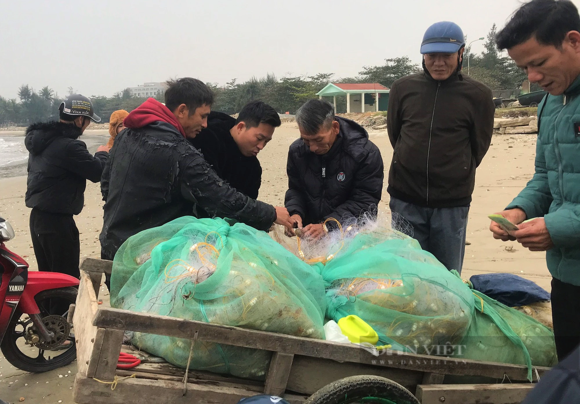 Lạnh tím người, ngư dân nơi này dậy từ 3h sáng, ra biển mưu sinh, đưa vào bờ hải sản tươi roi rói - Ảnh 4.