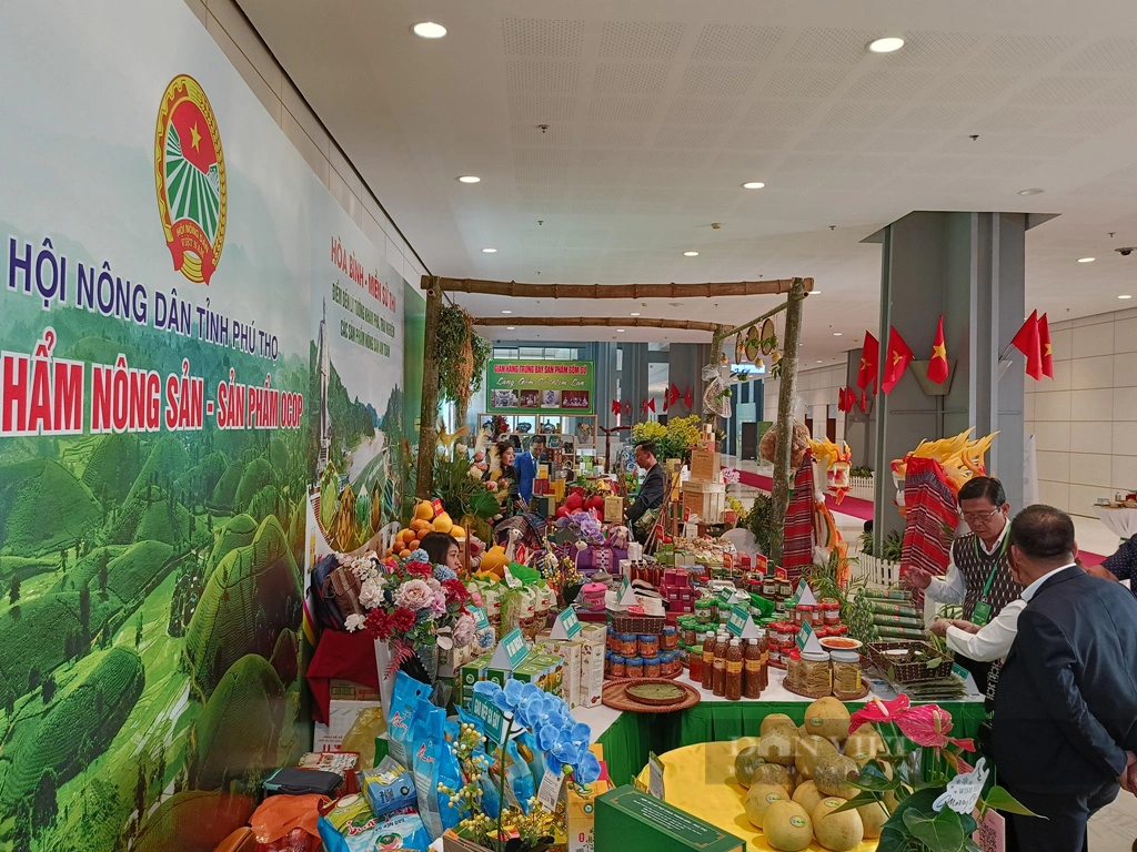 Đại biểu thích thú thưởng thức nông đặc sản, trải nghiệm &quot;mua hàng số&quot; tại Đại Hội đại biểu toàn quốc Hội NDVN - Ảnh 10.