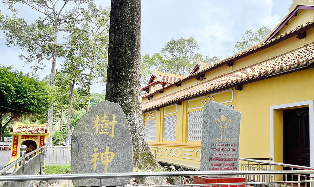 Một cái đình cổ ở An Giang thờ danh thần vương triều Nguyễn có cây cổ thụ cao vút hơn 200 năm tuổi - Ảnh 11.