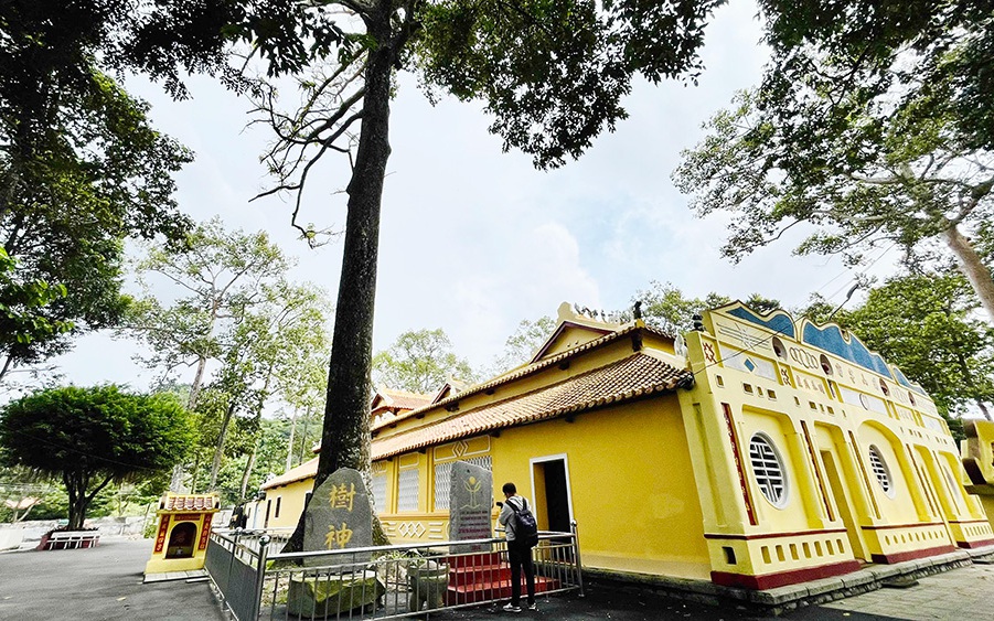 Một cái đình cổ ở An Giang thờ danh thần vương triều Nguyễn có cây cổ thụ cao vút hơn 200 năm tuổi