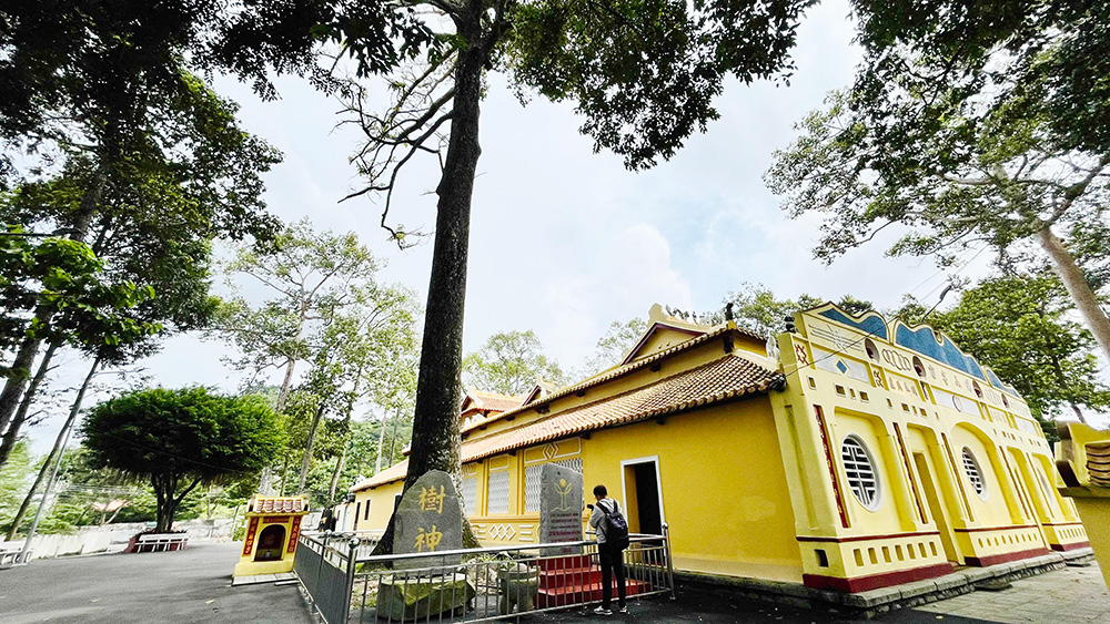 Một cái đình cổ ở An Giang thờ danh thần vương triều Nguyễn có cây cổ thụ cao vút hơn 200 năm tuổi - Ảnh 12.