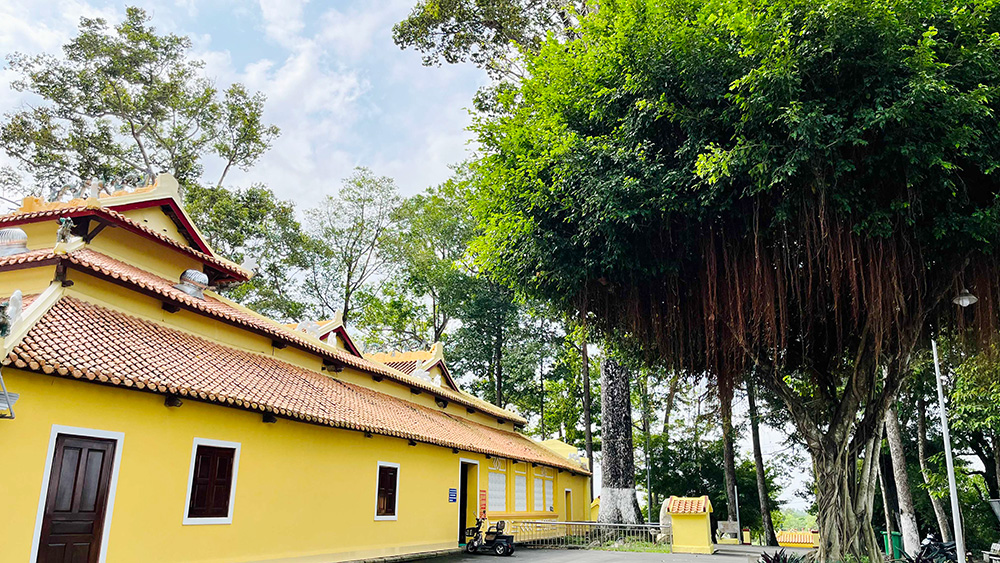 Một cái đình cổ ở An Giang thờ danh thần vương triều Nguyễn có cây cổ thụ cao vút hơn 200 năm tuổi - Ảnh 14.