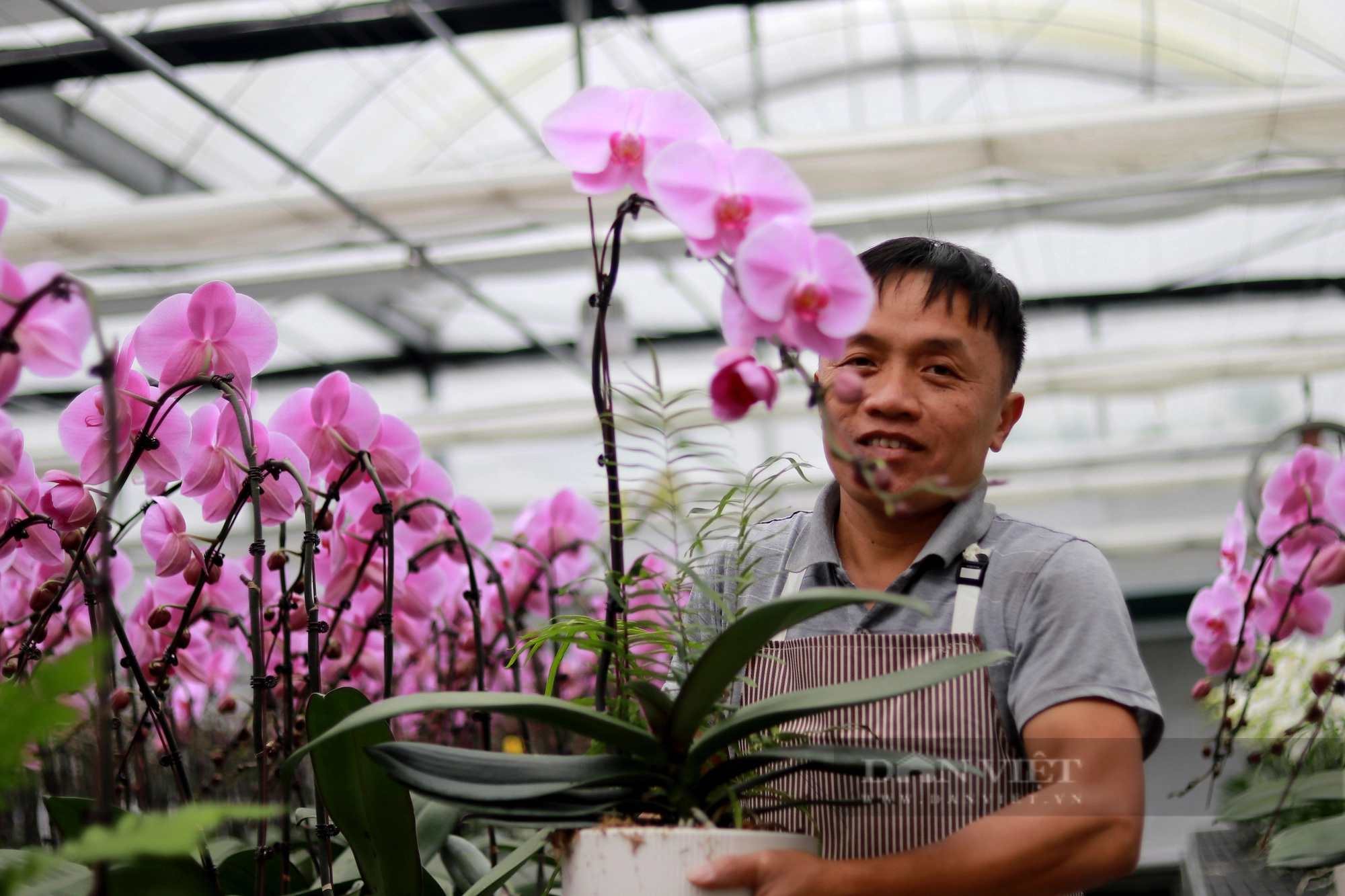 Khám phá mô hình trồng hoa lan hồ điệp ở Hà Tĩnh có doanh thu 8 tỷ đồng/năm - Ảnh 7.