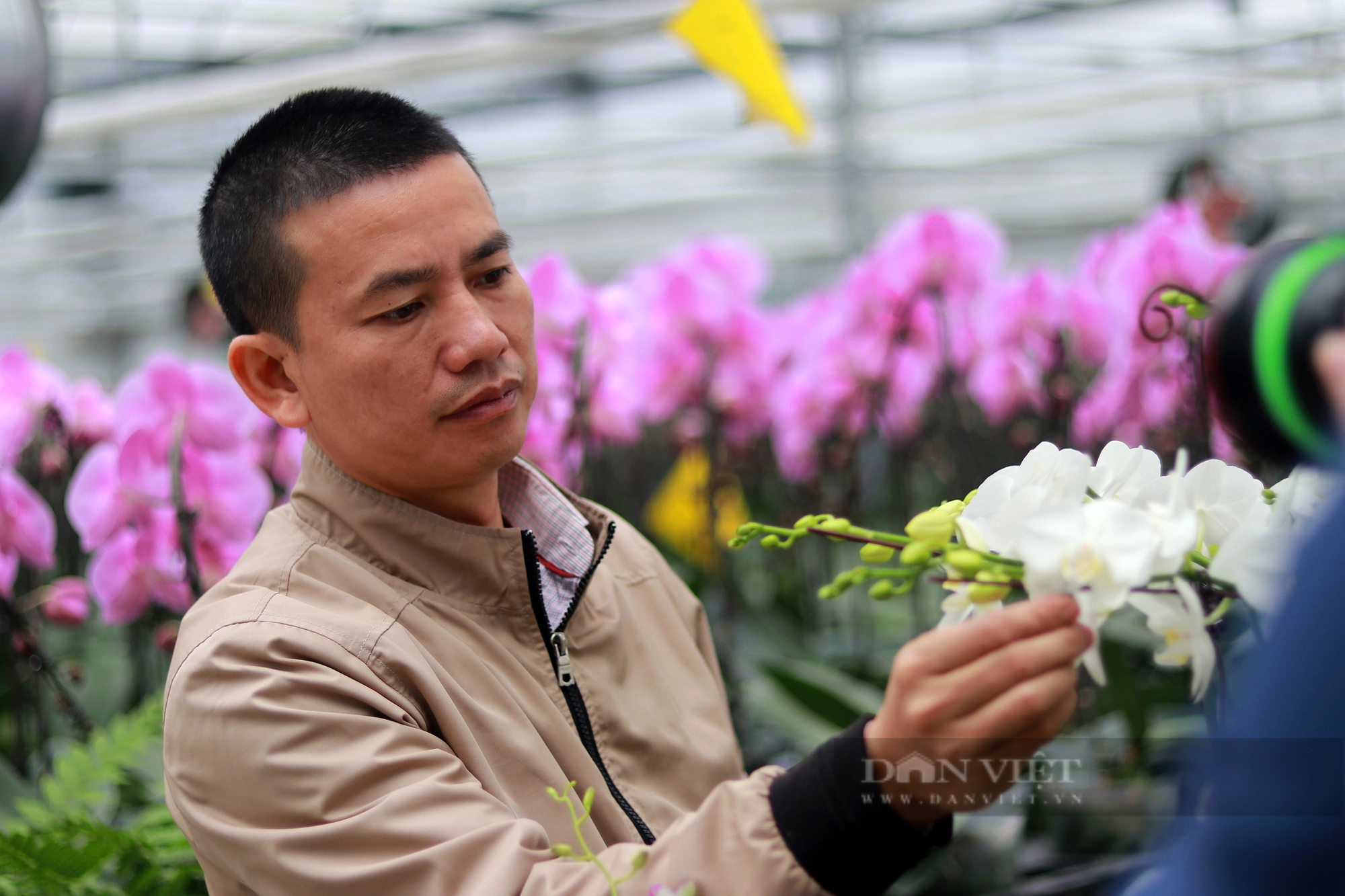 Khám phá mô hình trồng hoa lan hồ điệp ở Hà Tĩnh có doanh thu 8 tỷ đồng/năm - Ảnh 9.