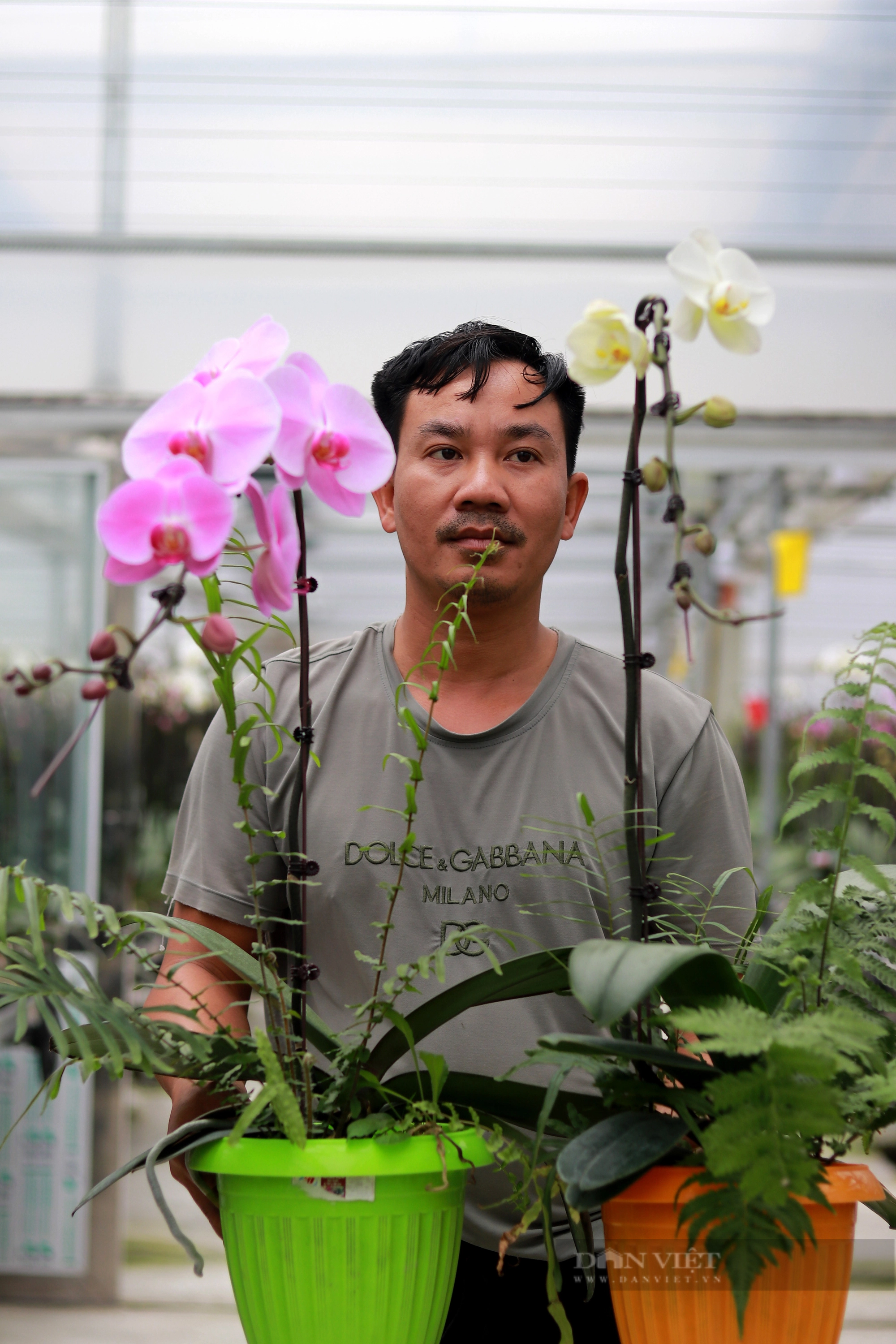 Khám phá mô hình trồng hoa lan hồ điệp ở Hà Tĩnh có doanh thu 8 tỷ đồng/năm - Ảnh 18.