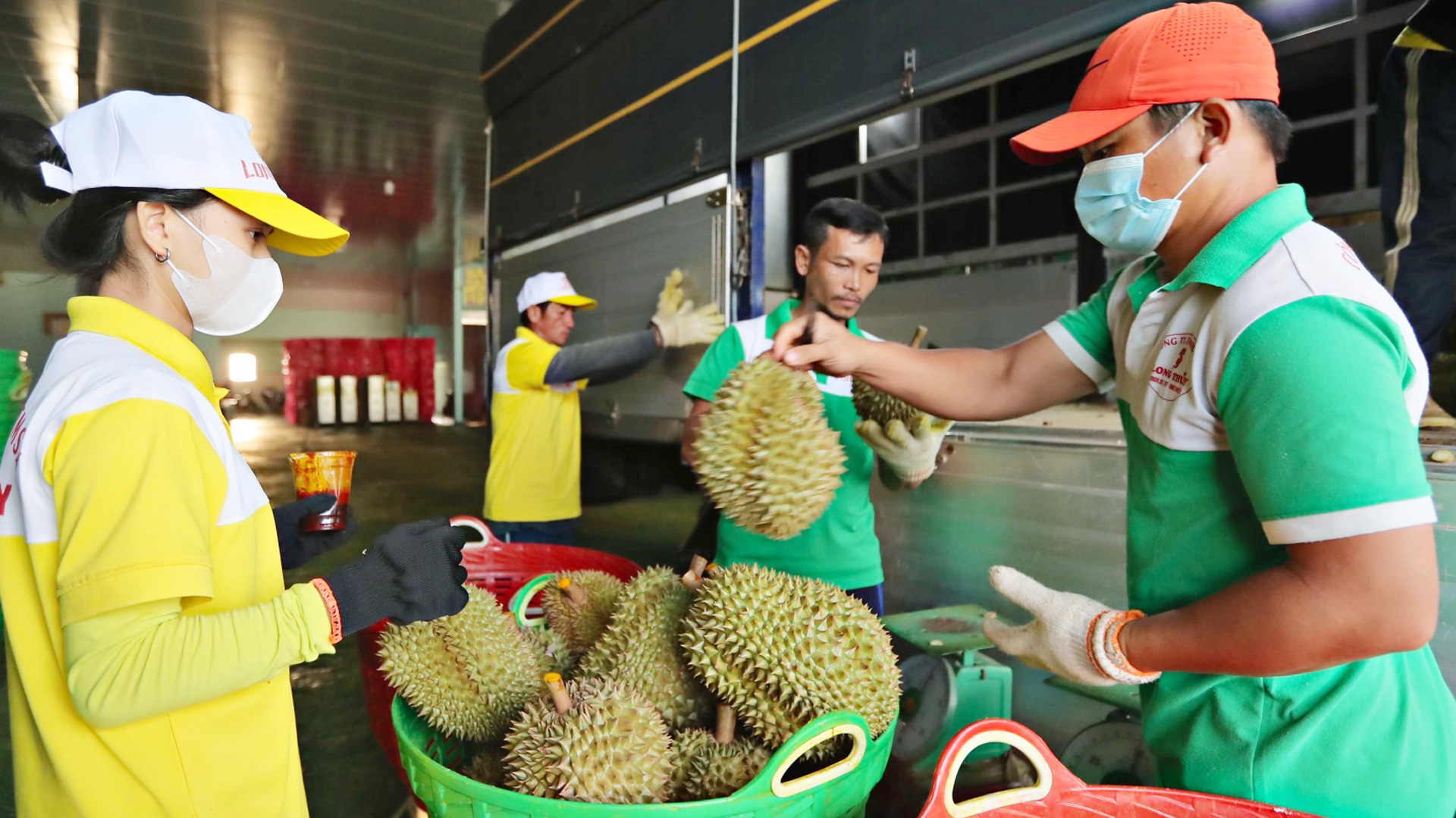 Loại trái cây đặc sản bán đắt tiền này đã mang về 110 triệu USD cho Lâm Đồng - Ảnh 1.