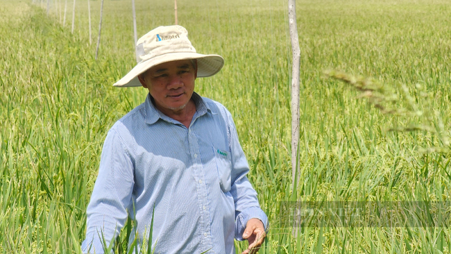 Thứ trưởng Bộ NNPTNT Nguyễn Quốc Trị: Chuyển đổi tư duy để nền nông nghiệp phát triển bền vững - Ảnh 2.