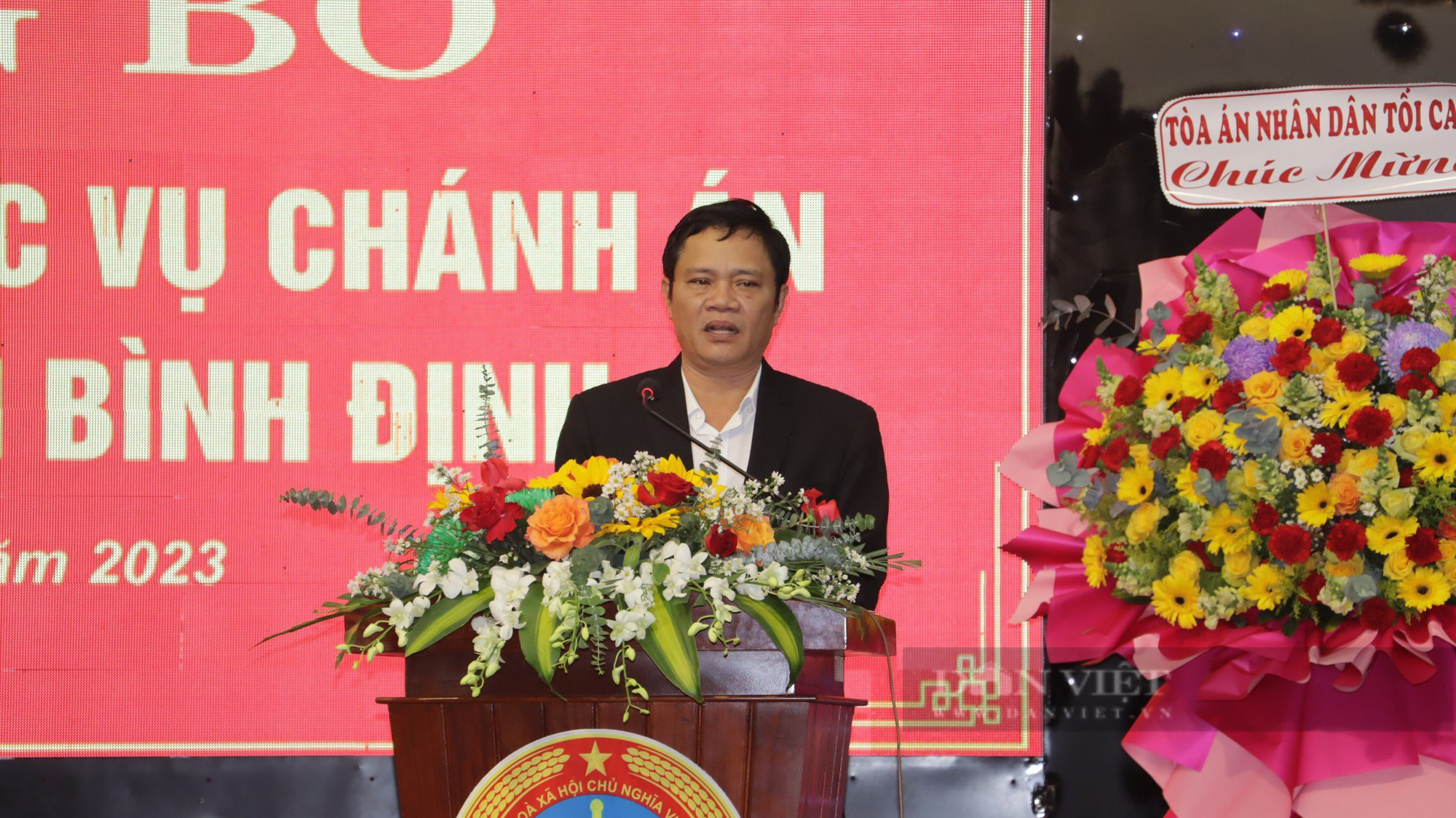 Trưởng Ban Nội chính Tỉnh uỷ Bình Định: 'Có án dân sự kéo dài 5 đến 7 năm' - Ảnh 2.