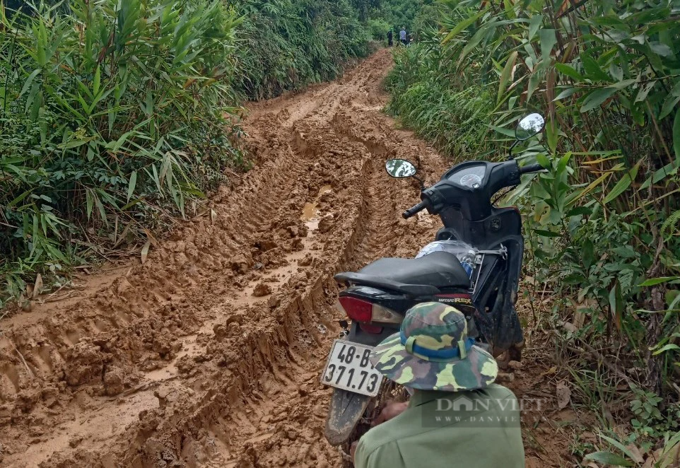 Vào "điểm nóng" di cư tự do ở Tây Nguyên (Kỳ 3): Nơi dân di cư tự do mong sớm được bố trí, ổn định- Ảnh 1.