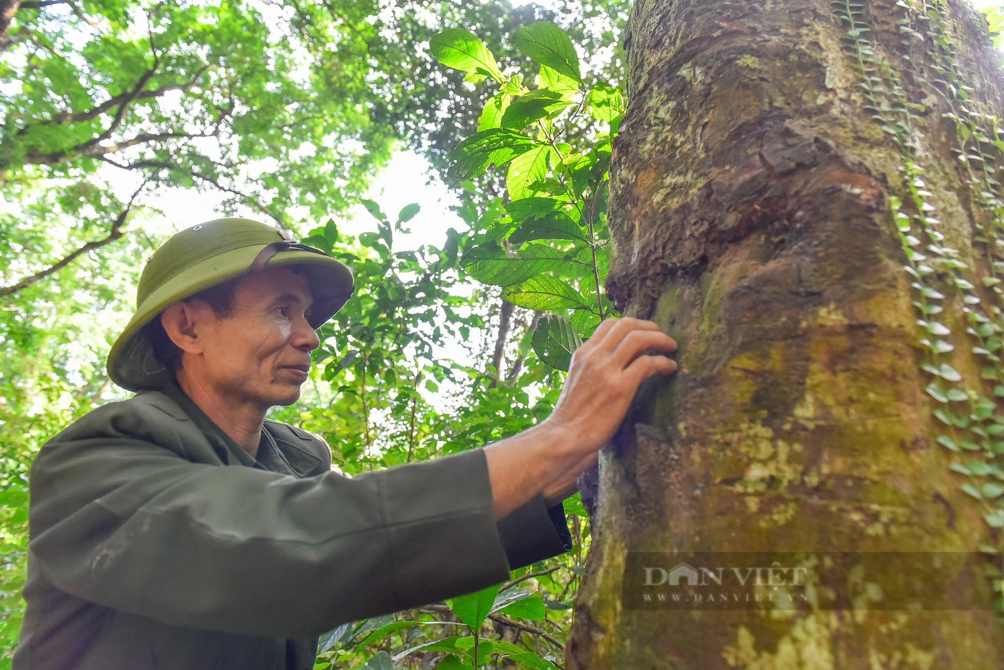 Khám phá rừng sến Tam Quy lớn nhất Đông Nam Á  - Ảnh 8.