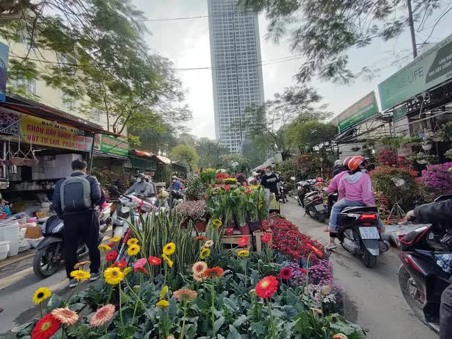 Hà Nội mở 83 chợ hoa Tết 2024 - Ảnh 1.