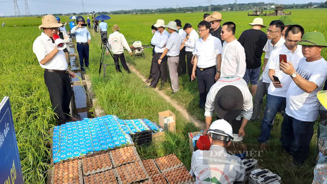 Công ty được đề cử giải thưởng “Nơi làm việc tốt nhất châu Á nhận Huân chương Độc lập hạng Nhì - Ảnh 3.