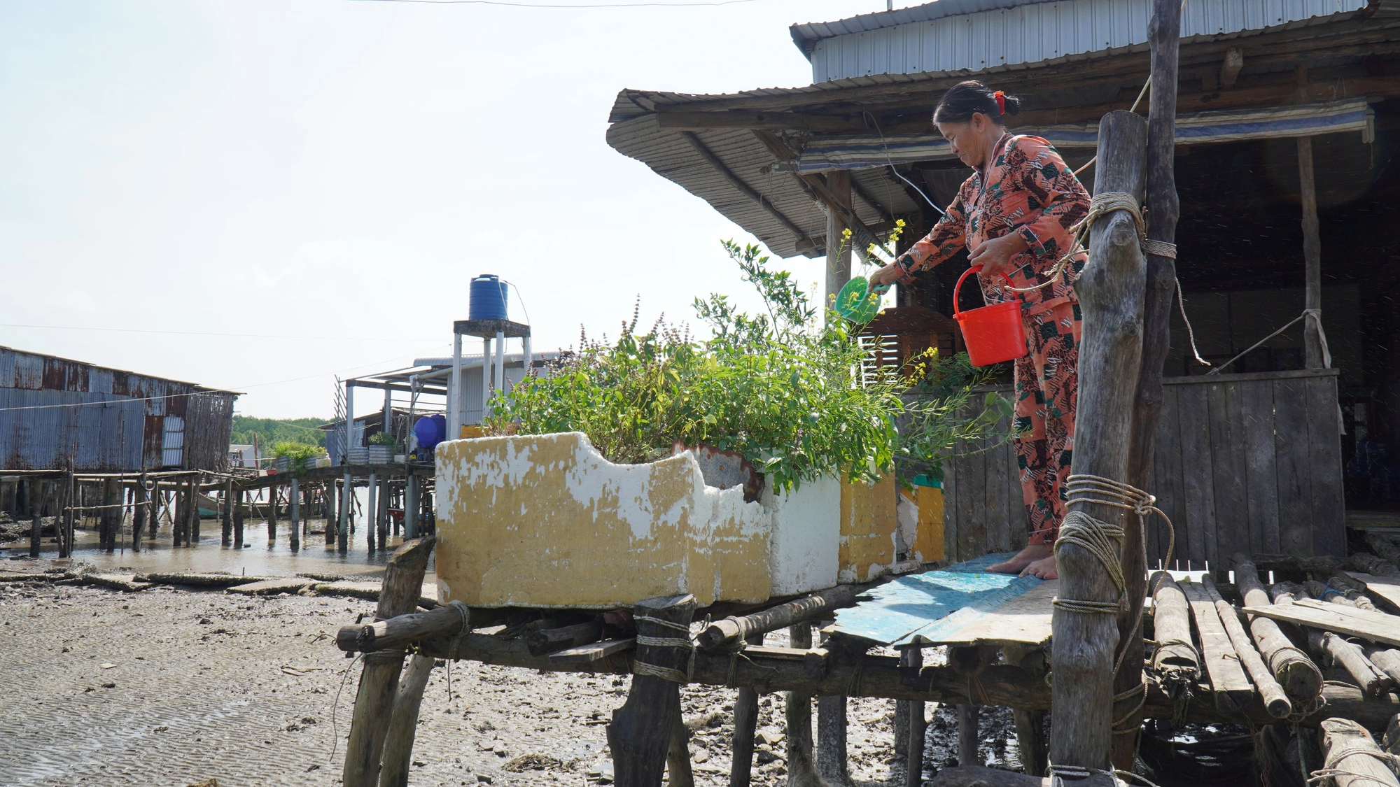 Cuộc sống chơi vơi nơi bờ biển sạt lở ở Cà Mau (Bài 1): Thấp thỏm sống ở cửa biển Vàm Xoáy- Ảnh 3.