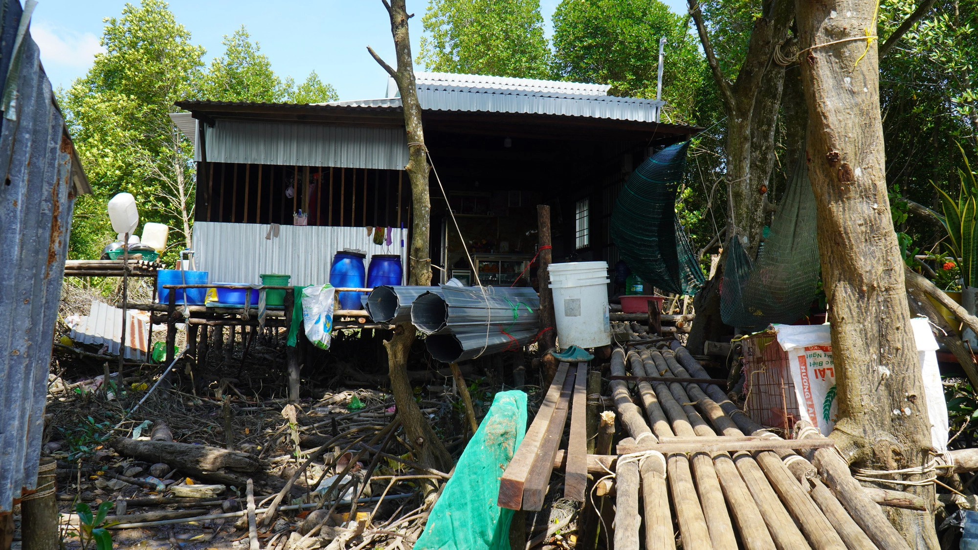 Cuộc sống chơi vơi nơi bờ biển sạt lở ở Cà Mau (Bài 1): Thấp thỏm sống ở cửa biển Vàm Xoáy- Ảnh 4.