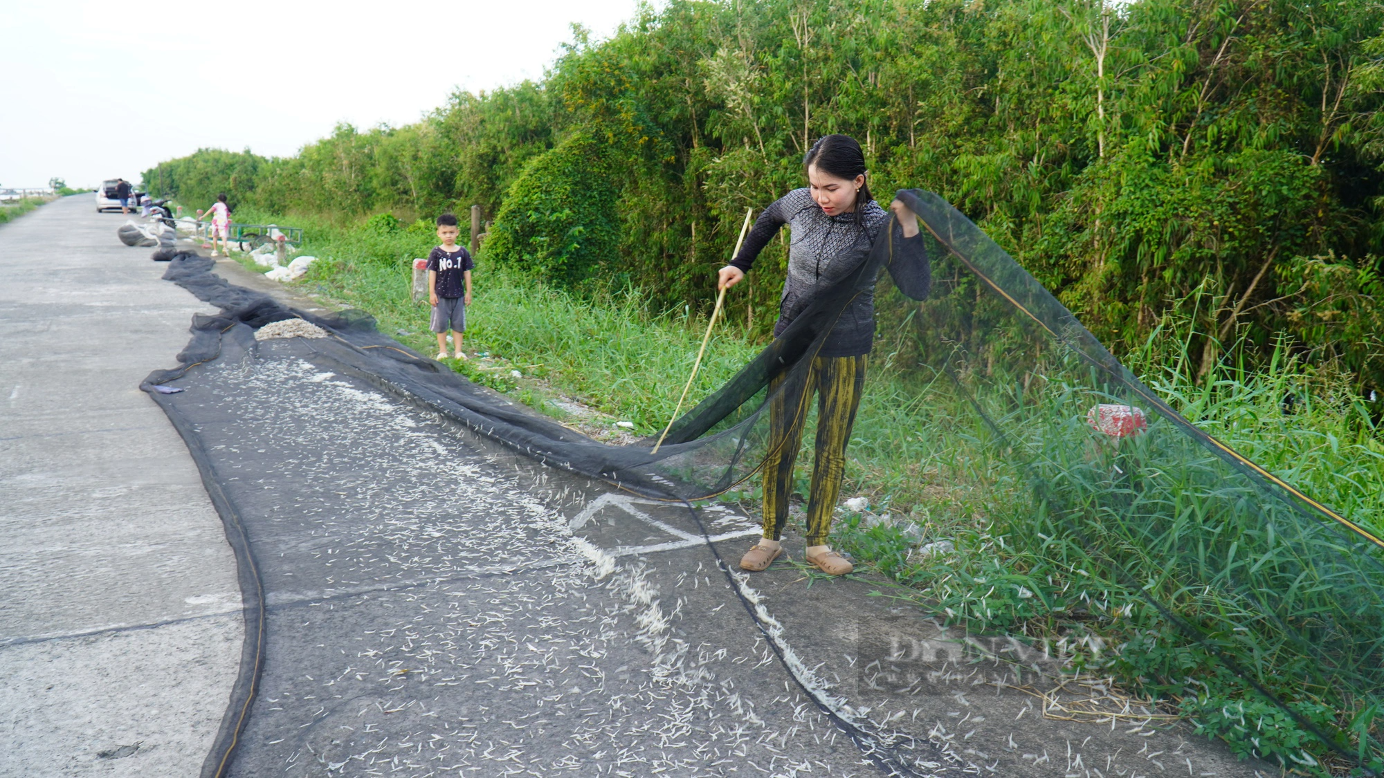 Cuộc sống chơi vơi nơi bờ biển sạt lở: Cuộc chiến giữ đất, giữ đê biển Tây trước sóng dữ (kỳ 2) - Ảnh 5.