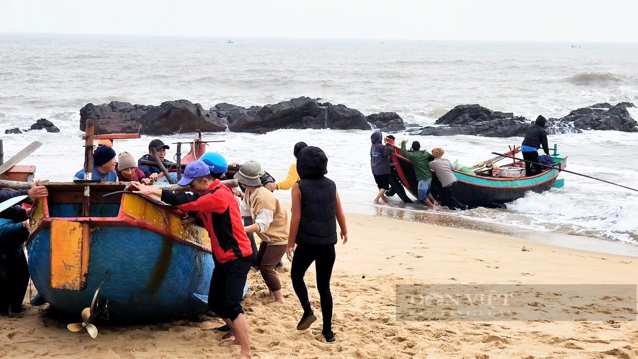 Ngư dân Quảng Bình ra khơi trúng đậm cá ngứa, 1kg bán giá gần 700.000 đồng- Ảnh 1.