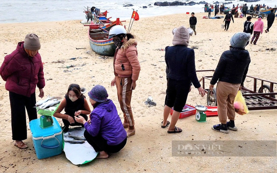 Ngư dân Quảng Bình ra khơi trúng đậm cá ngứa, 1kg bán giá gần 700.000 đồng- Ảnh 2.
