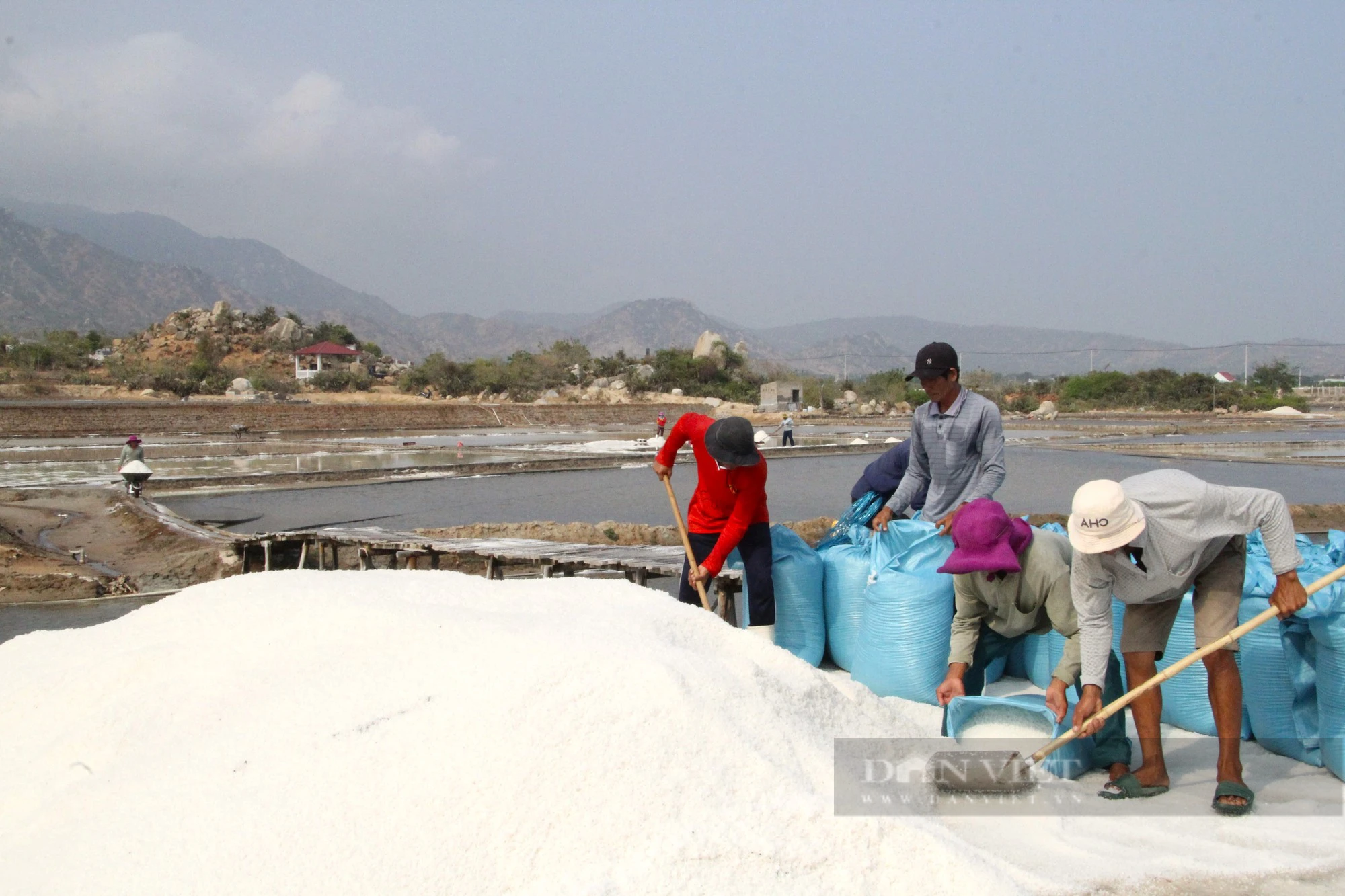 Nông dân Ninh Thuận phấn khởi với những quyết sách đúng đắn sau Đại hội Hội Nông dân Việt Nam - Ảnh 6.