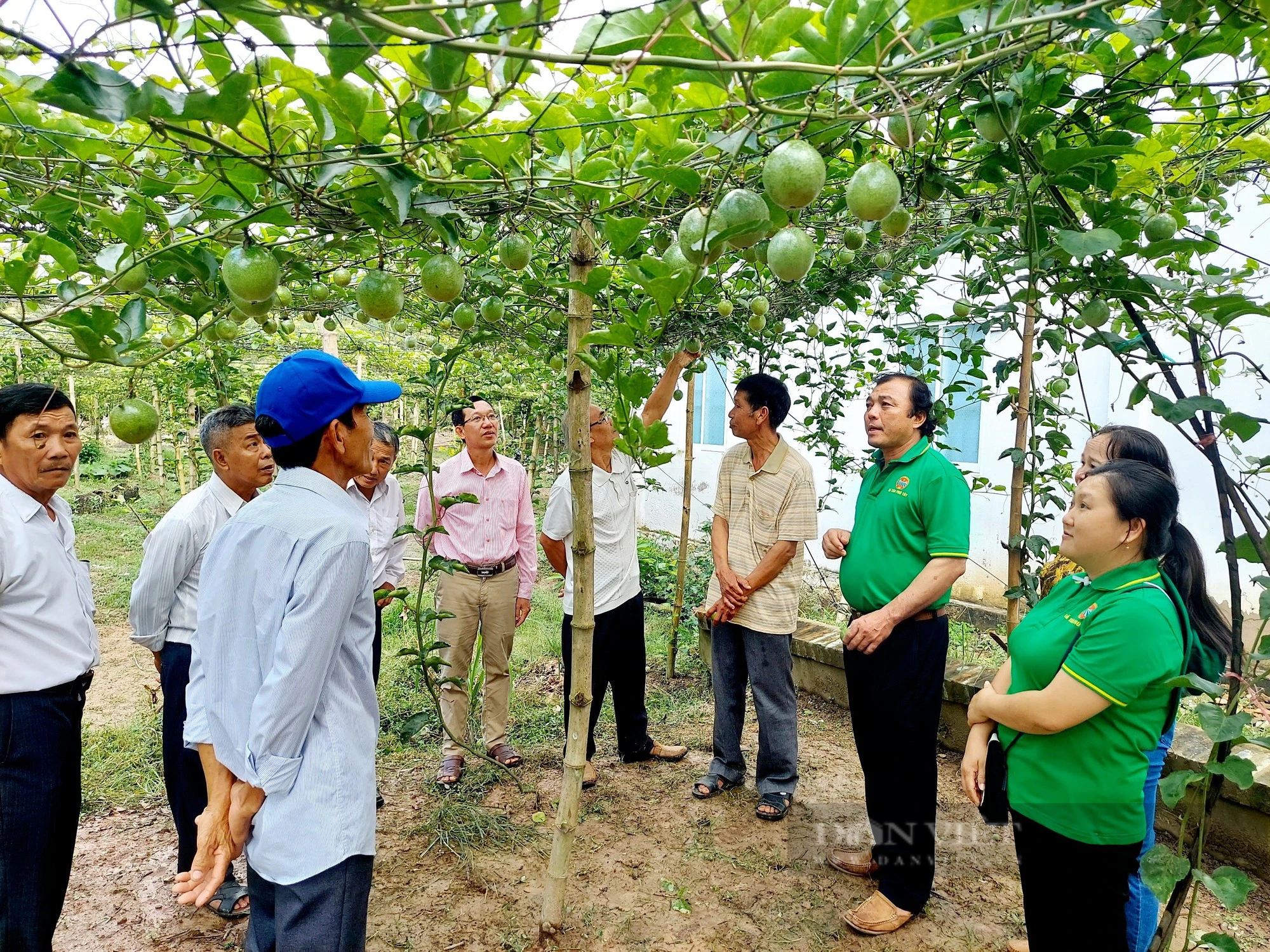 ND Nguyễn Hữu Công: Rất xúc động và vinh dự được nghe Tổng Bí thư phát biểu trực tiếp tại Đại hội VIII Hội NDVN - Ảnh 2.